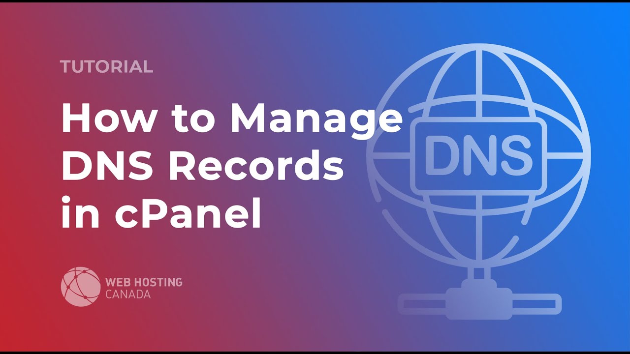 How to Handle DNS Documents in cPanel