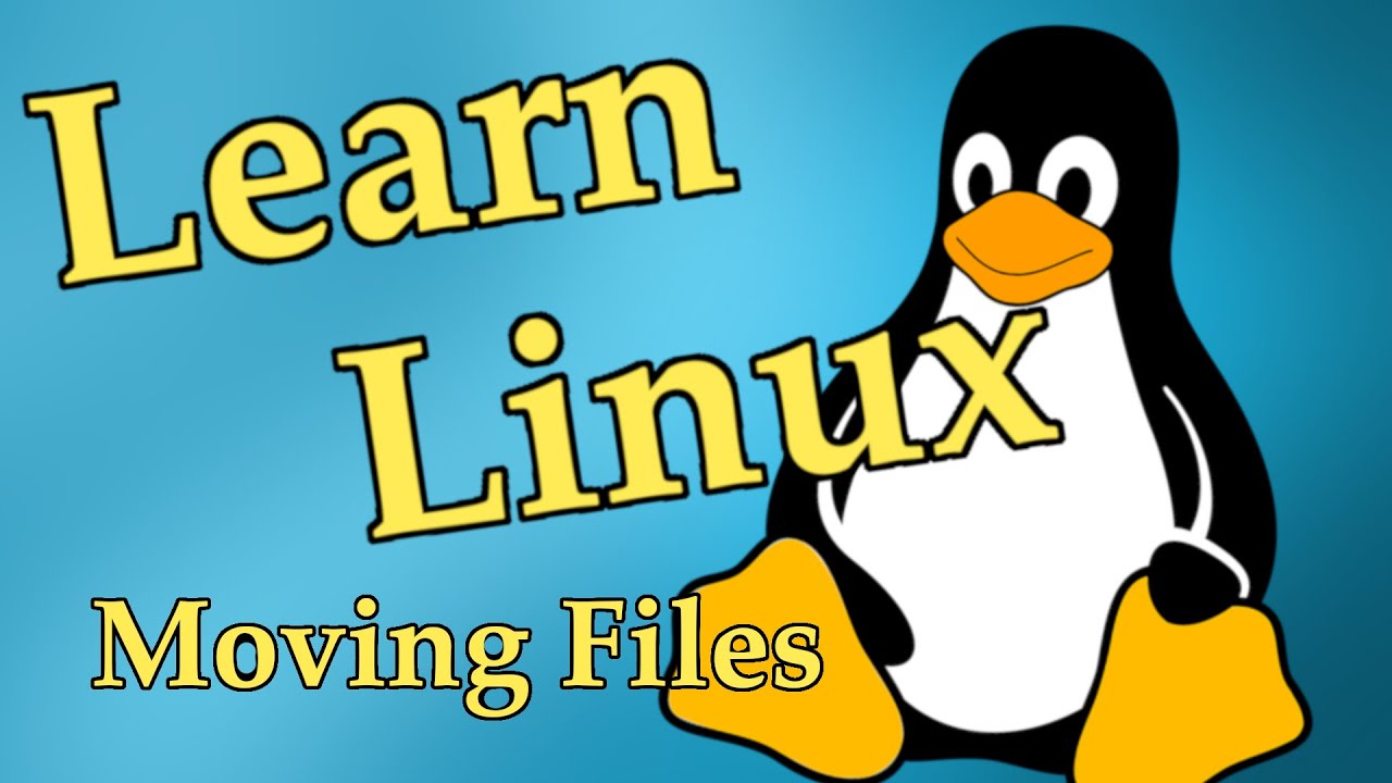 Linux 101 episode 6: Transfer and Copy