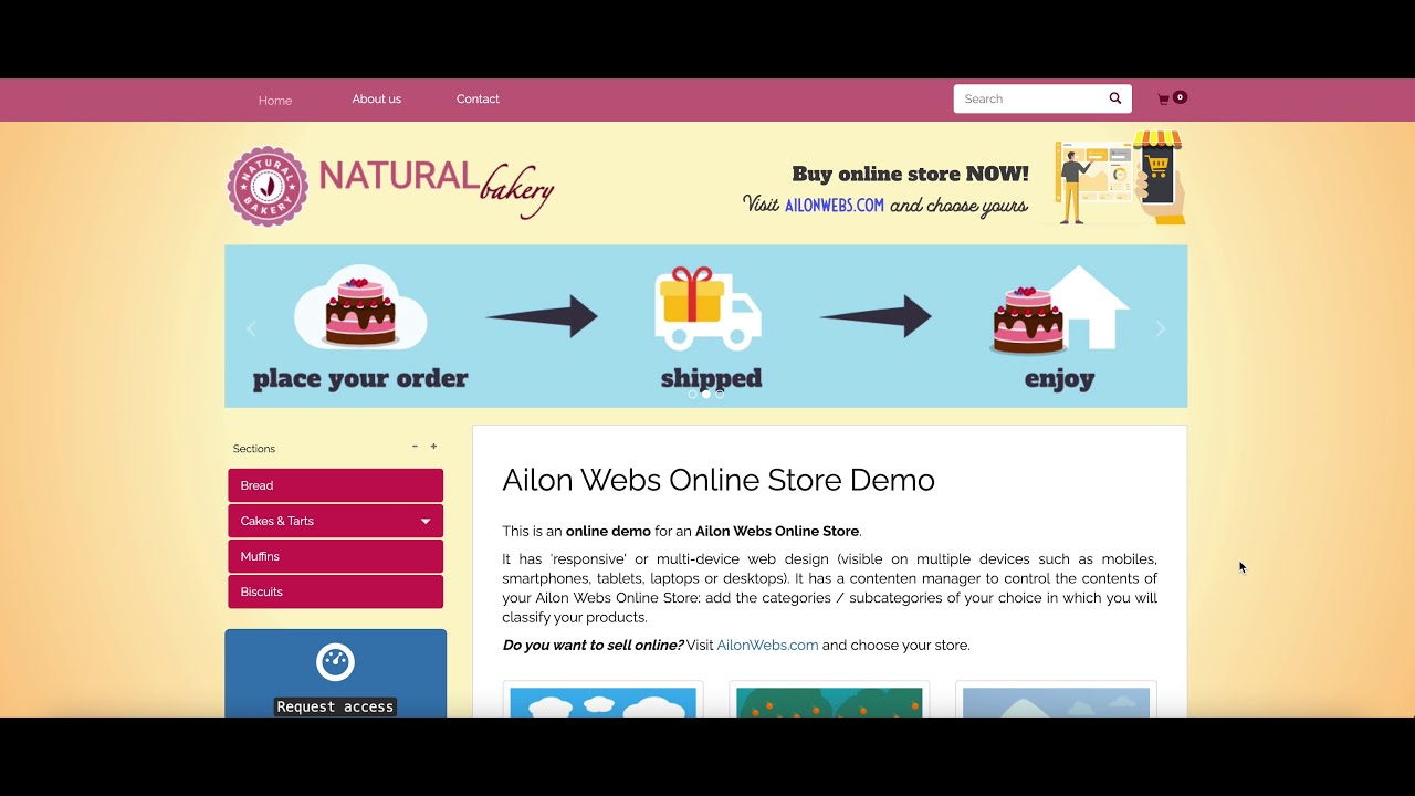 Demo on the net keep web page by Ailon Webs