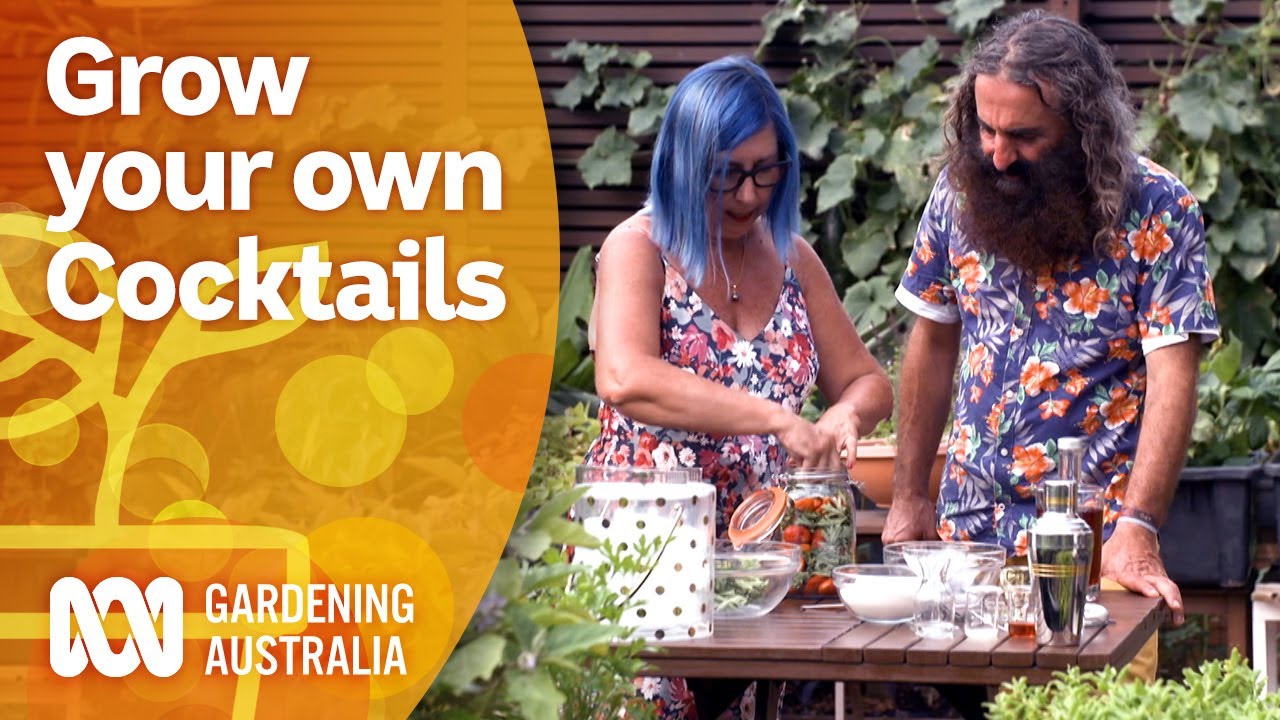 Increase your very own botanical drinks like a cocktail aficionado | Gardening Australia